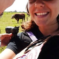 Lari Pettignano的照片