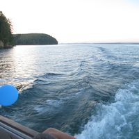 Johann Weiss的照片