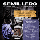 Photo de l'événement Semillero Ritmos Afro del Pacífico Sur 