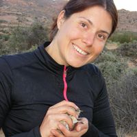 Rosanne Beukeboom的照片