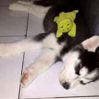 Anthony Chandra's Photo