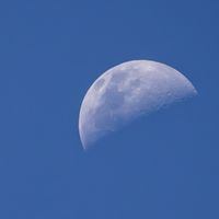 Photos de Marian aletheium