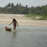 KAROL_RIVERO's Photo