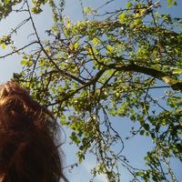 Alex Miafina's Photo