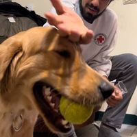 Mehrad Abgharian的照片