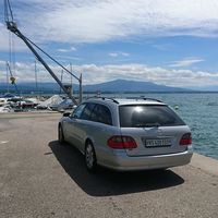 Turtle Meldem's Photo