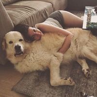 Zdjęcia użytkownika Noa Brandwein