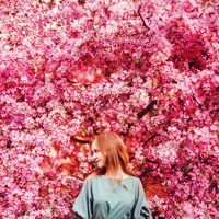 Fotos von Anastasia Ustenikova