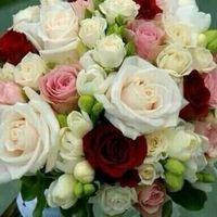 jasmine jasmine's Photo