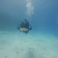 Amr Ibrahim的照片