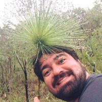 Fotos de Gustavo Garcium