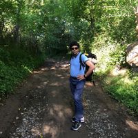 Bahman Golparvar的照片