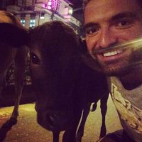 Alex Anguelov的照片