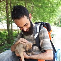 Arman Motevalli的照片