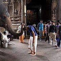 Maciej Sommerfeld's Photo