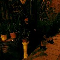 Silvia Jill Léa Curreli的照片