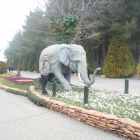 Mustafa ERDAL的照片