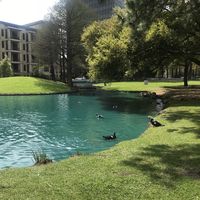 Фотографии пользователя Nitin