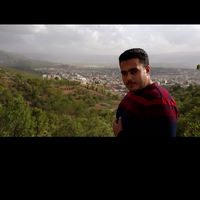 Mojtaba Khodadadi的照片