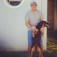 Фотографии пользователя Guilherme Guede