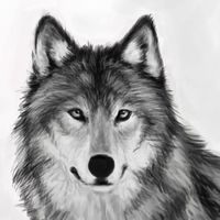 Hanna Karunia的照片