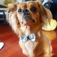 Ana Grgurević的照片