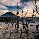 Mount Papandayan Trip (6-7 April)'s picture