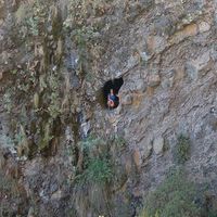 Isabel Ramos Pablos's Photo