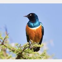 Jackson Saile's Photo