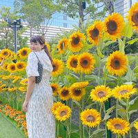 Arunee Prabpinas的照片