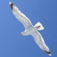 Pierangelo la Placa的照片