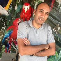 Mohamed Salah's Photo