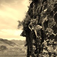 Bevan Wright的照片