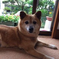 Fotos de Yuji Takano