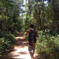 César Mascarell's Photo