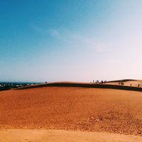 Trần Phố's Photo