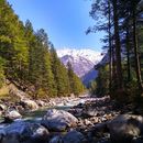 Delhi to Kasol By Car 's picture
