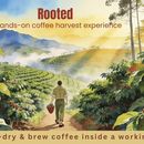 Rooted - A Coffee Walk To Remember 's picture