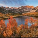 Eastern Sierra Fall Colors's picture