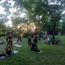 Acroyoga, handstands and standing acro Workshops's picture