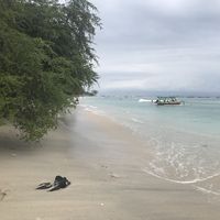 Irina Vlasova's Photo