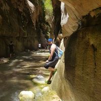 Mohammad Al-nsour的照片