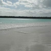 Фотографии пользователя Aline Nobody