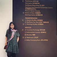 Nafiseh valizadeh的照片