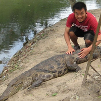 Timothy Chu的照片