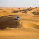 A magical journey in the Bidya desert's picture