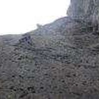 James Lewis的照片