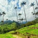 Social Creators Hike In The Cocora Valley's picture