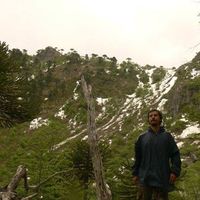 Cristian Navarro's Photo