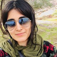 Sonia Ghanbari的照片